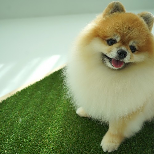 이미지 상세보기
