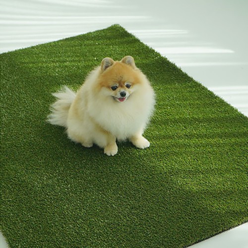 이미지 상세보기